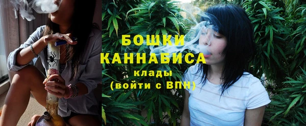 крисы Абдулино