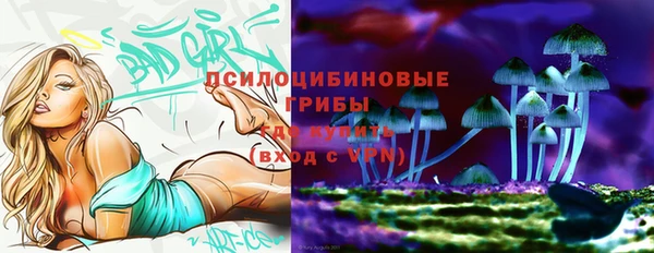 крисы Абдулино